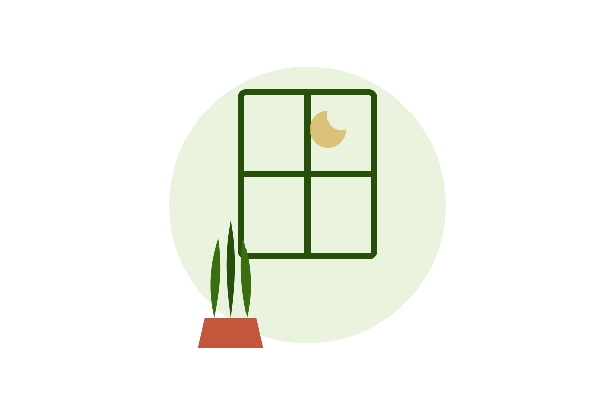 Window with plant illustration