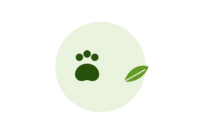 Paw and leaf illustration