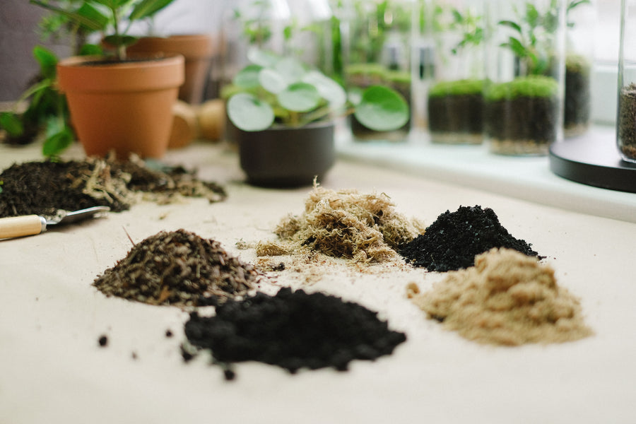 Soils