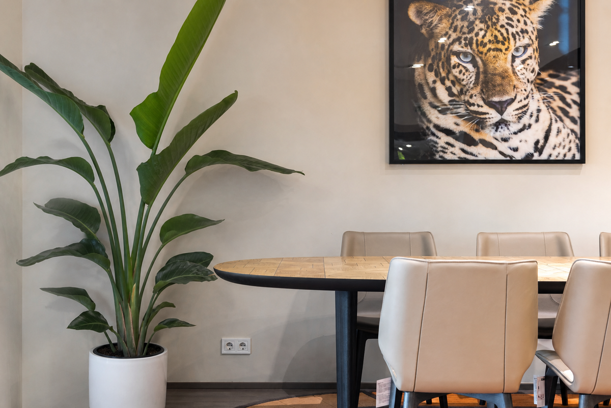Start With a Beautiful Plant