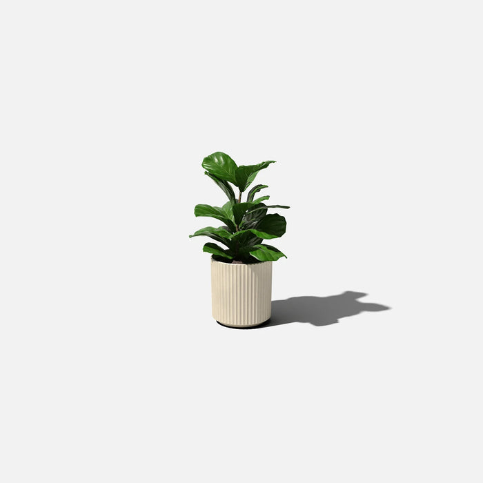 Sandstone Demi 12" Pot
