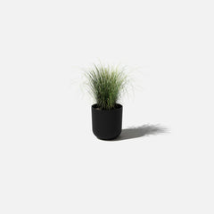 Black Kona 10" Pot