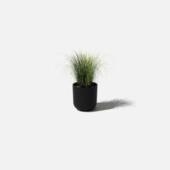 Black Smooth 10-inch pot with a green houseplant.