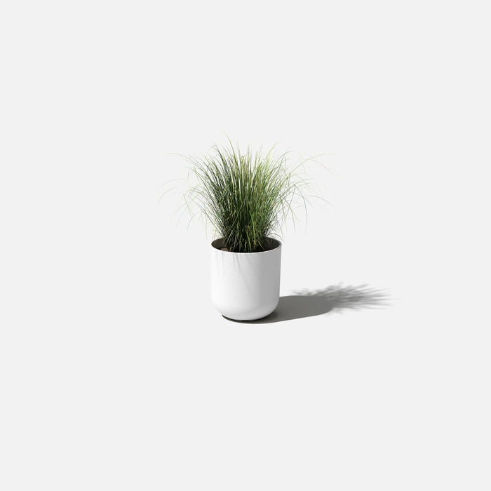 White Kona 10" Pot