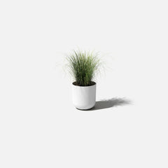 White Smooth 10-inch pot with a green houseplant.