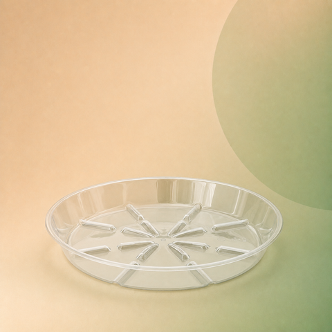 Clear saucer