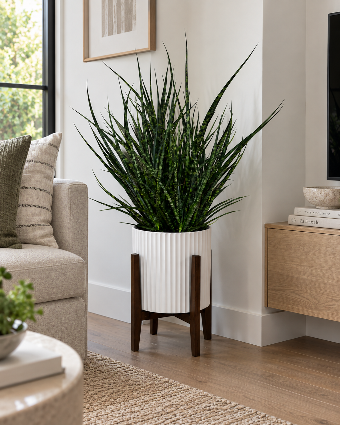 10" Snake Plant Fernwood Mikado