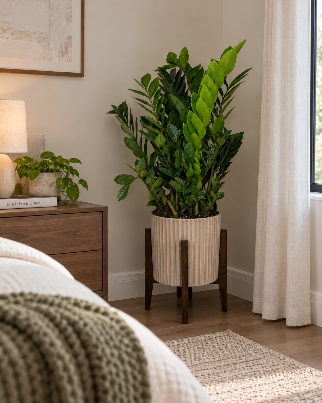 ZZ Plant in a bedroom