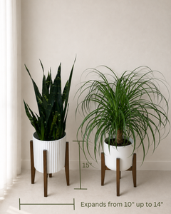 Bamboo Plant Stand displayed as a natural wood stand for elevating indoor potted plants.
