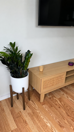 ZZ Oscura decorating a modern living room with bold, nearly black tropical foliage.