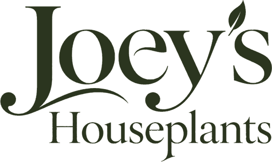 Joey's Houseplants